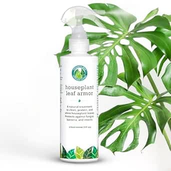 Spray protecteur naturel pour feuilles de plantes d'intérieur