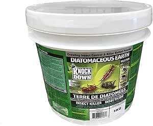 Terre de diatomée pour punaises de lit, fourmis, cafards et tous types d'insectes rampants 