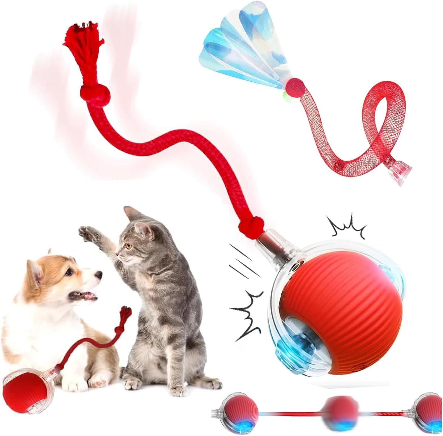 Jouets interactifs pour chat d'intérieur