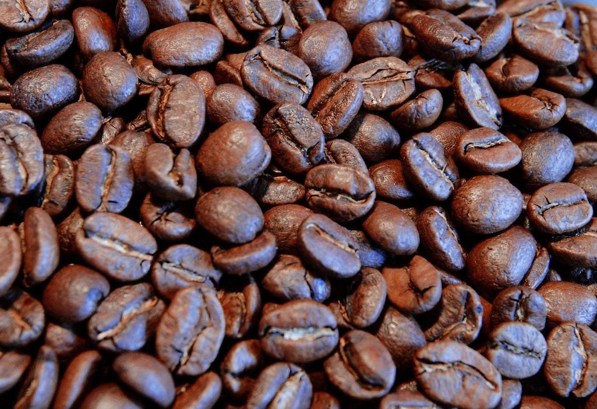 Darryl Dyck, Edmonton Sun