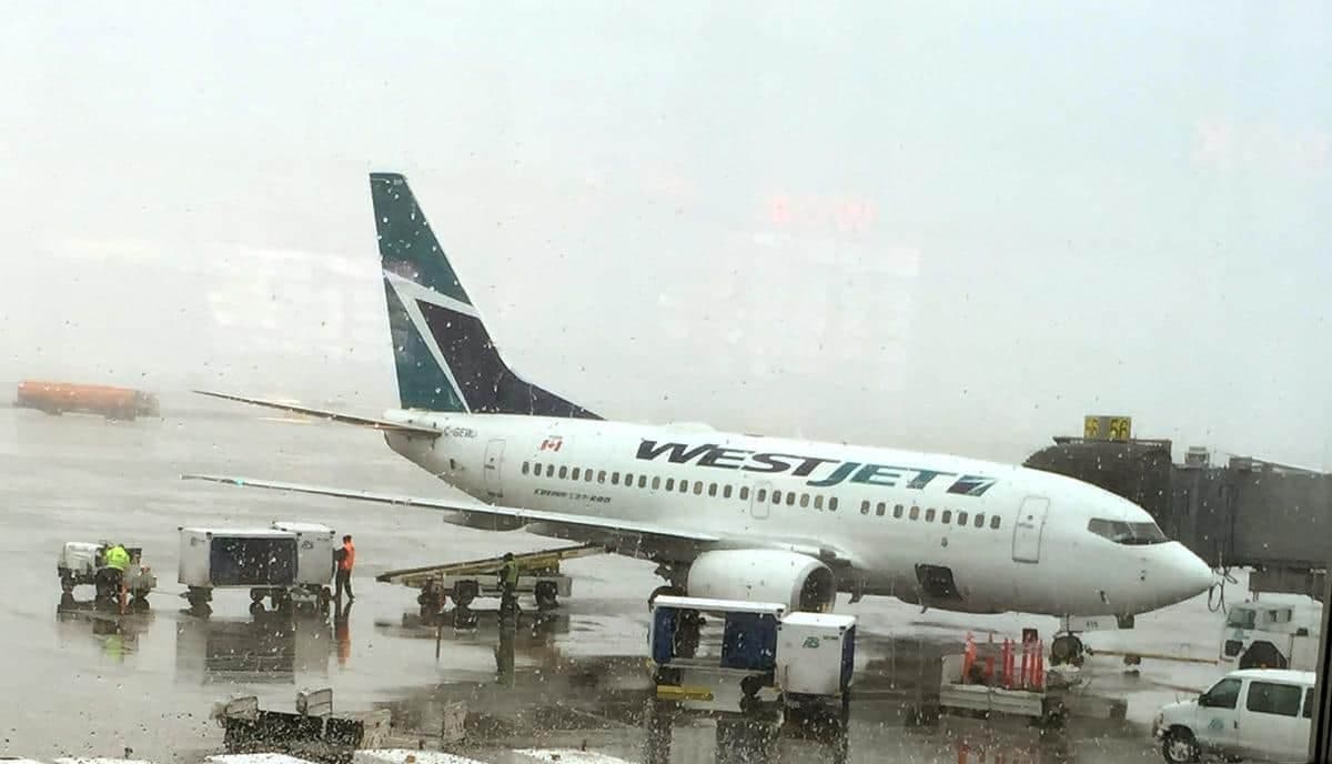 Birgit Braid/Edmonton Sun/QMI Agency