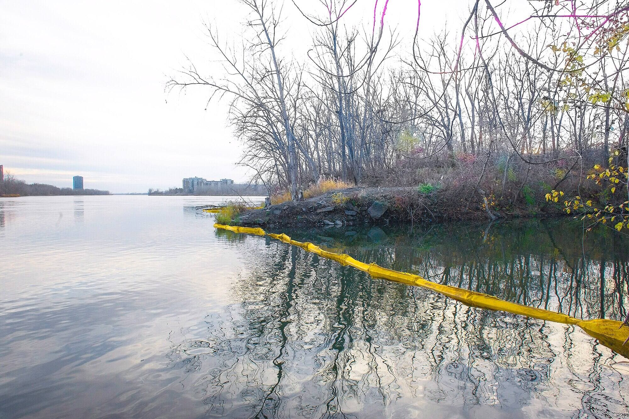 échantillon prélevé avant le déversement prévu de 8 milliards de litres d’eaux usées dans le fleuve Saint-Laurent 
Daniel Green et son équipe
CHANTAL POIRIER/LE JOURNAL DE MONTRÉAL
