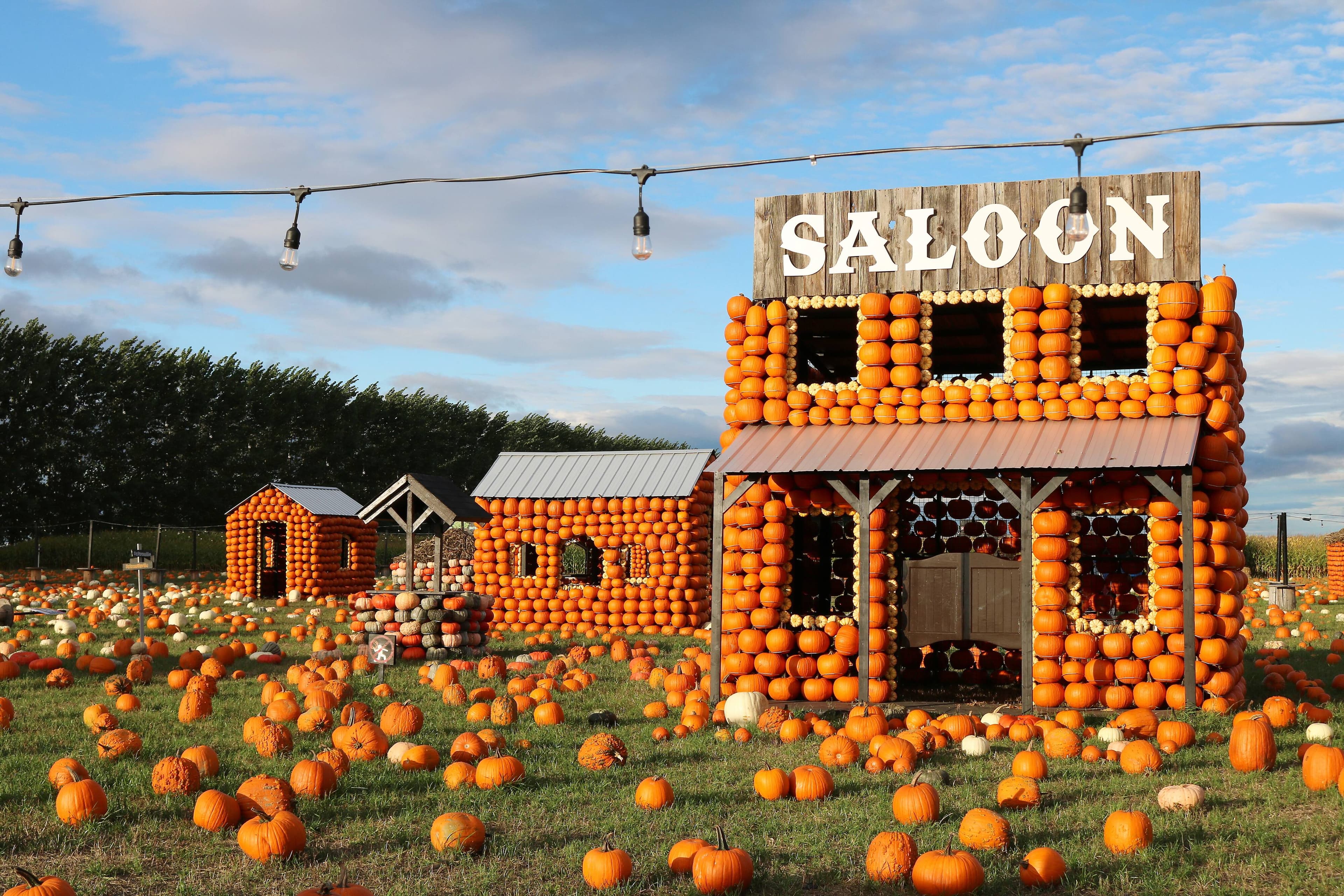 Une vingtaine de petits bâtiments avec des murs en citrouilles sont érigés sur le site.