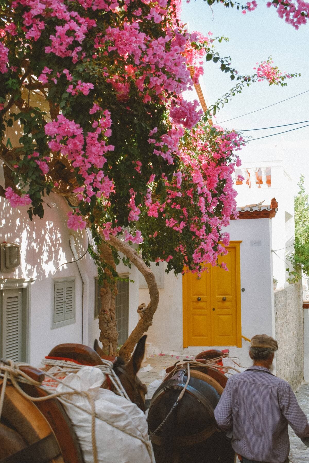 UNSPLASH / Christina Terzidou