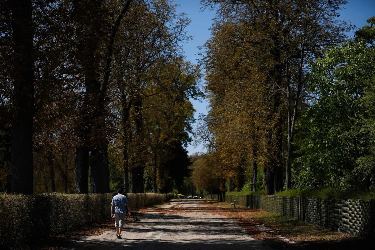 Photo prise dans un parc près de Paris