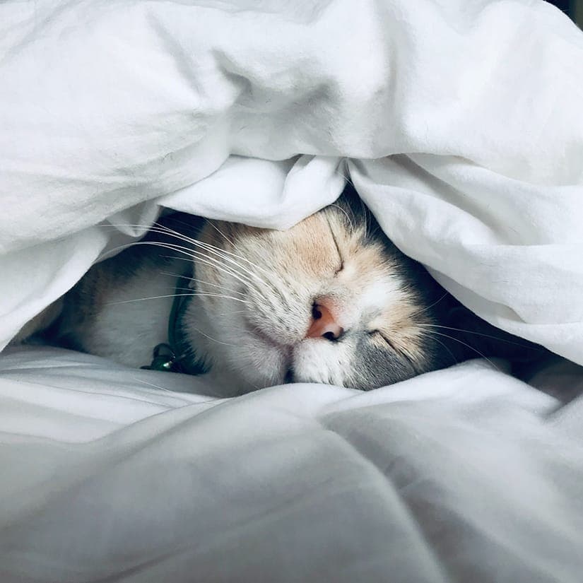 10 trucs pour avoir un sommeil réparateur