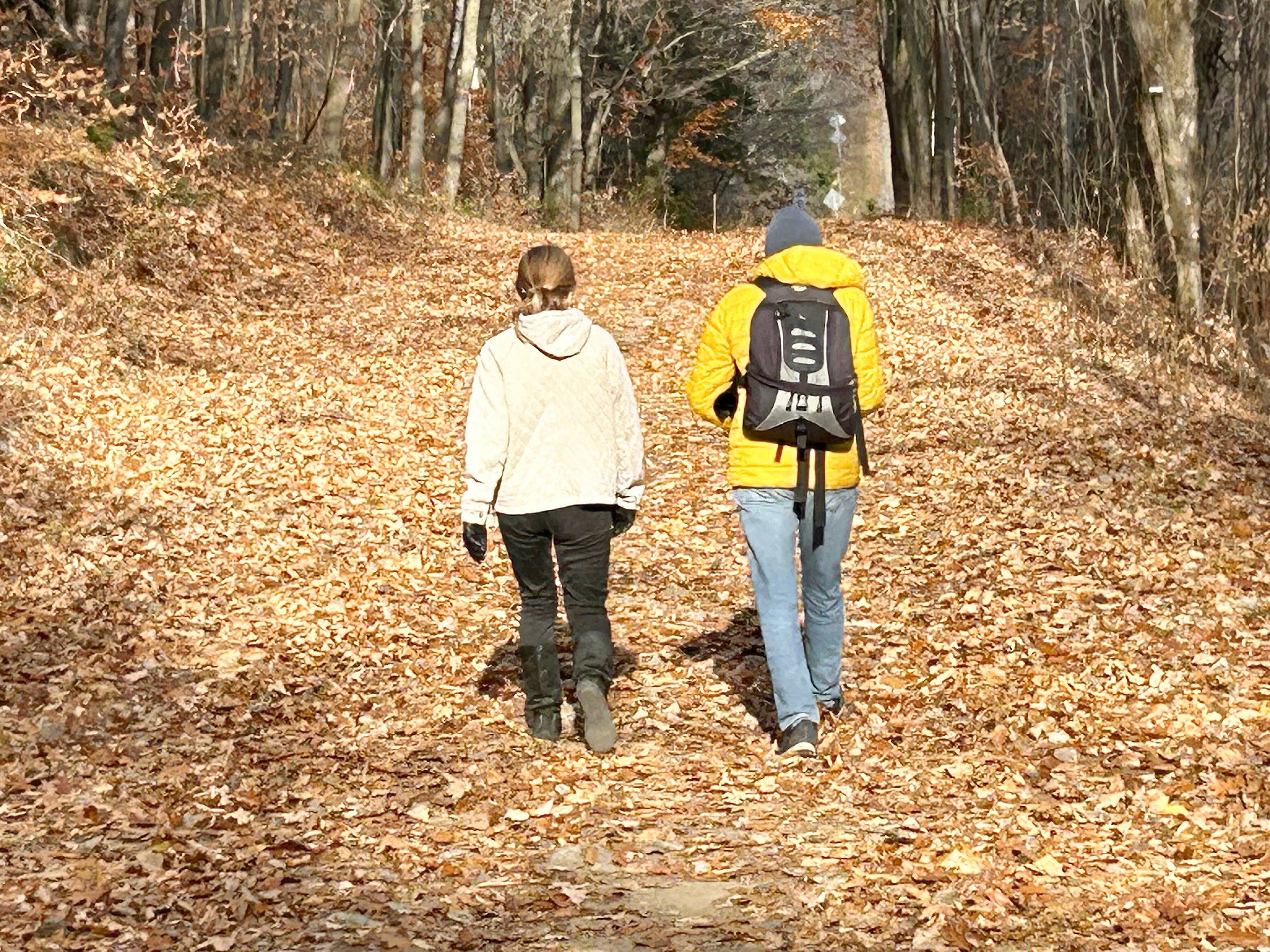 Le sentier No 7 
menant au 
monastère.