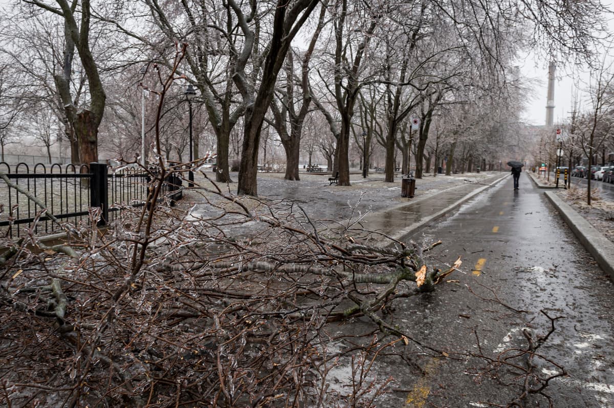 Photo Agence QMI, Joël Lemay