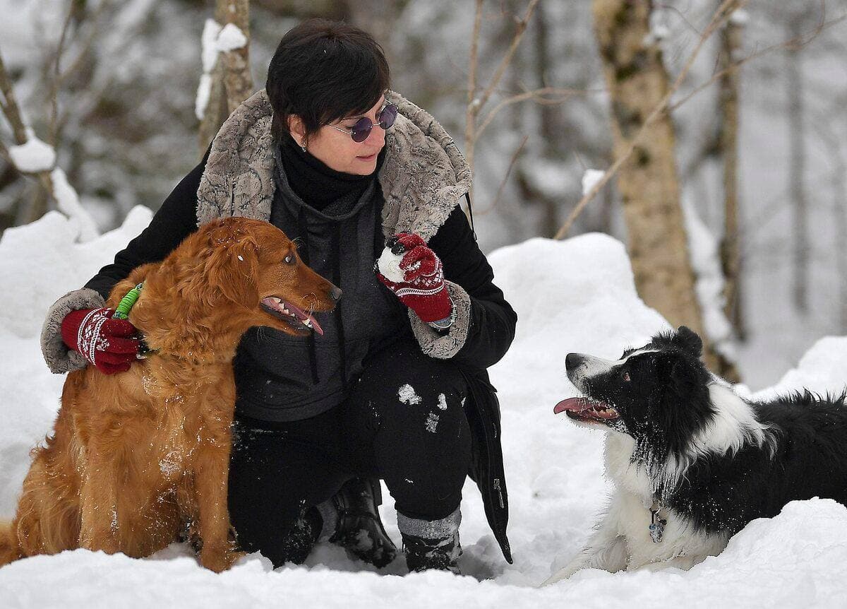 Photo Didier Debusschère