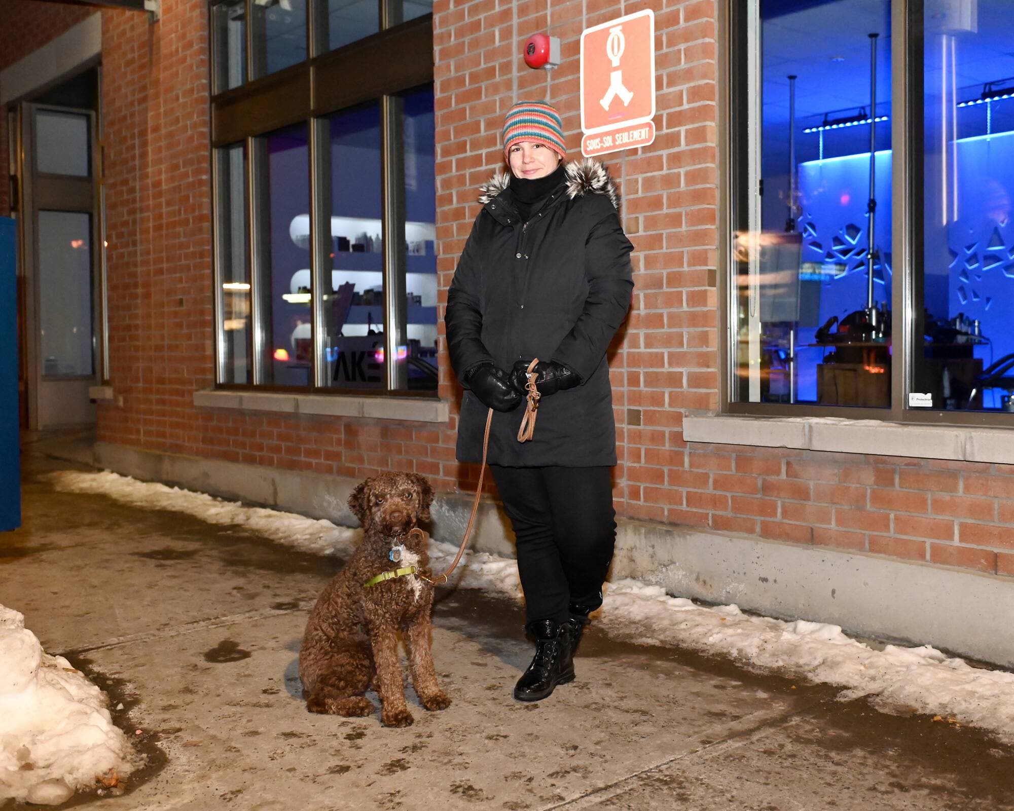 MARTIN ALARIE / JOURNAL DE MONTR