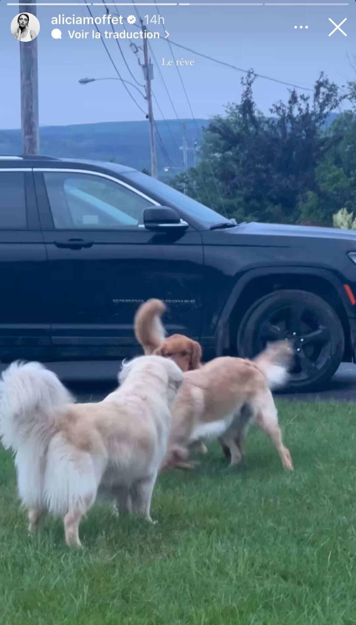 STORY INSTAGRAM / ALICIA MOFFET