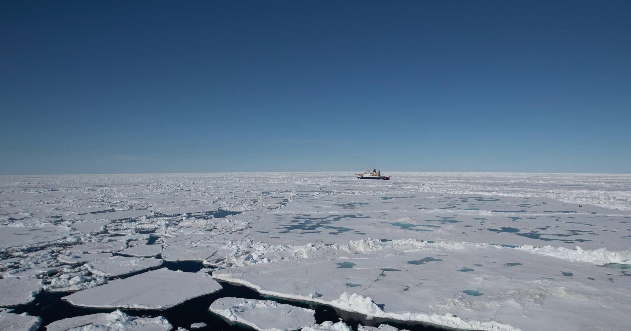 Lianna Nixon/MOSAIC Expedition