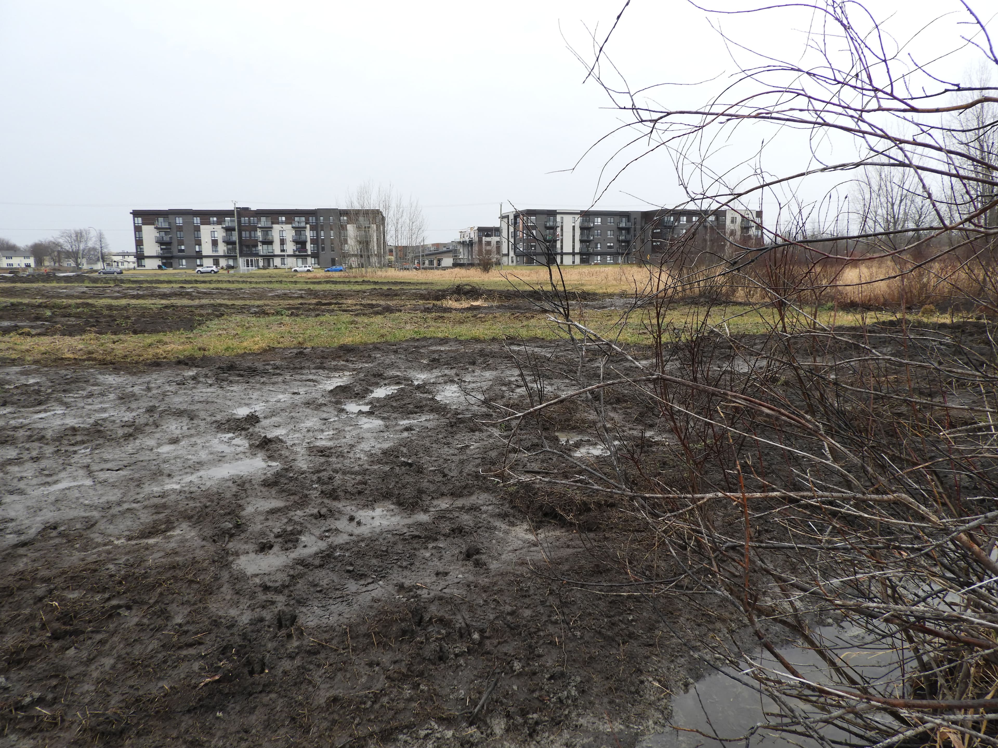 PHOTO COURTOISIE / Tommy Montpetit