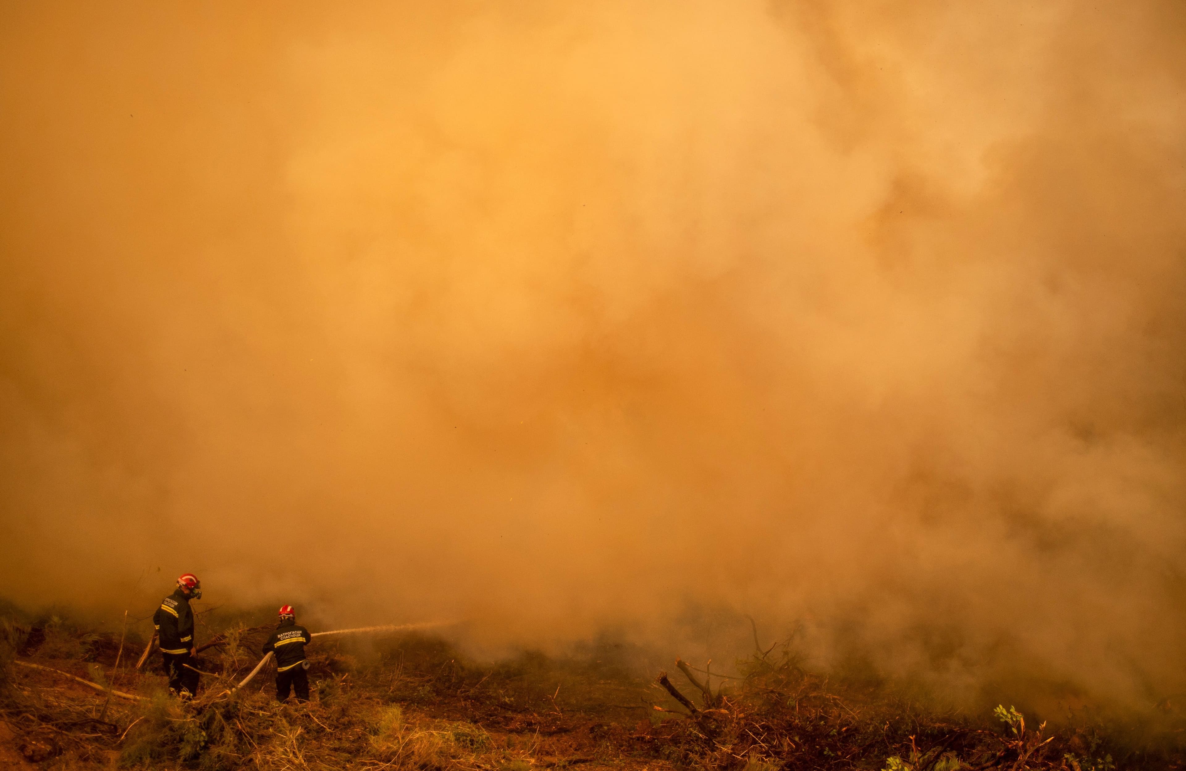 Au total, ce sont plus de 116 000 hectares qui sont partis en flammes en Grèce depuis la fin du mois de juillet, en raison des nombreux feux de forêt qui ont ravagé le pays.