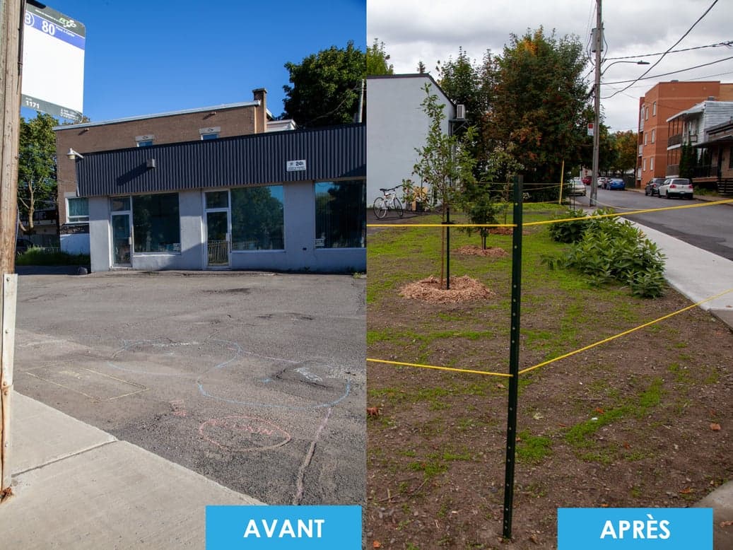 Ce stationnement du quartier Saint-Sauveur à Québec a été dépavé par des bénévoles.