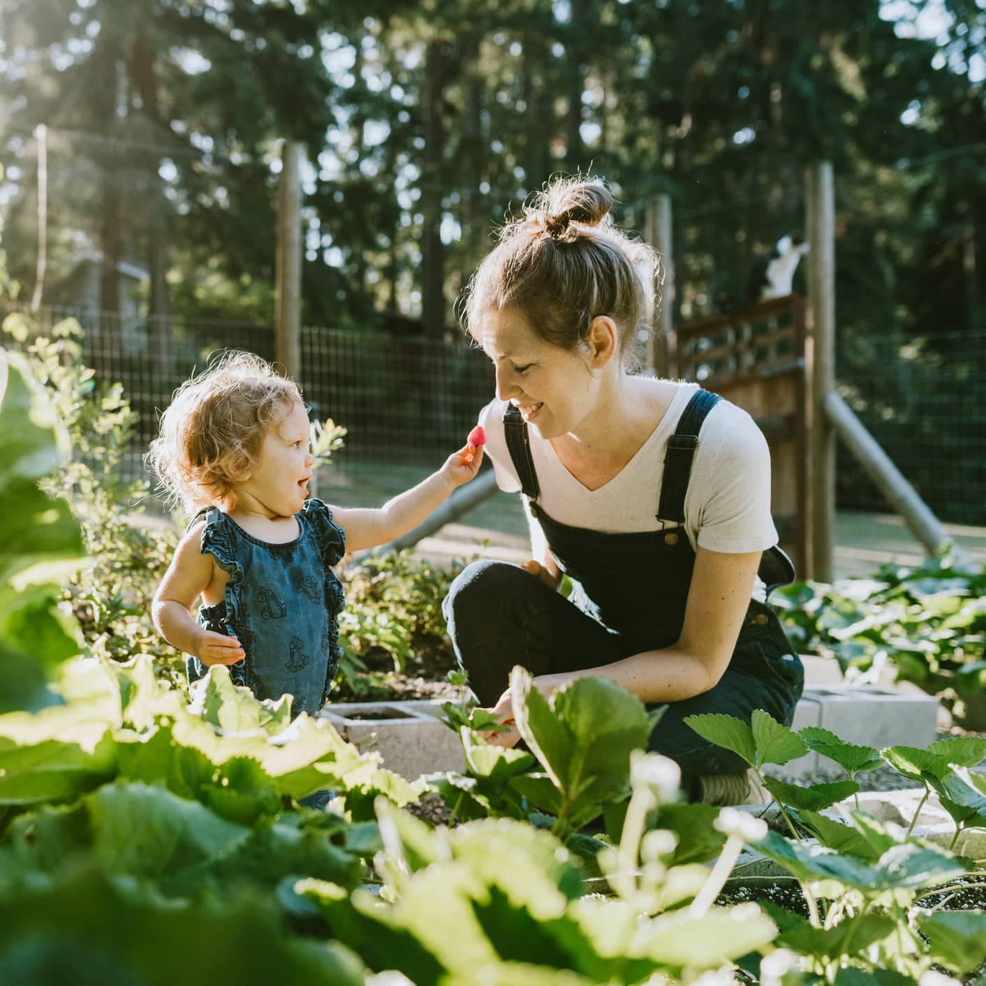 Guide de jardinage: l’entretien de votre potager