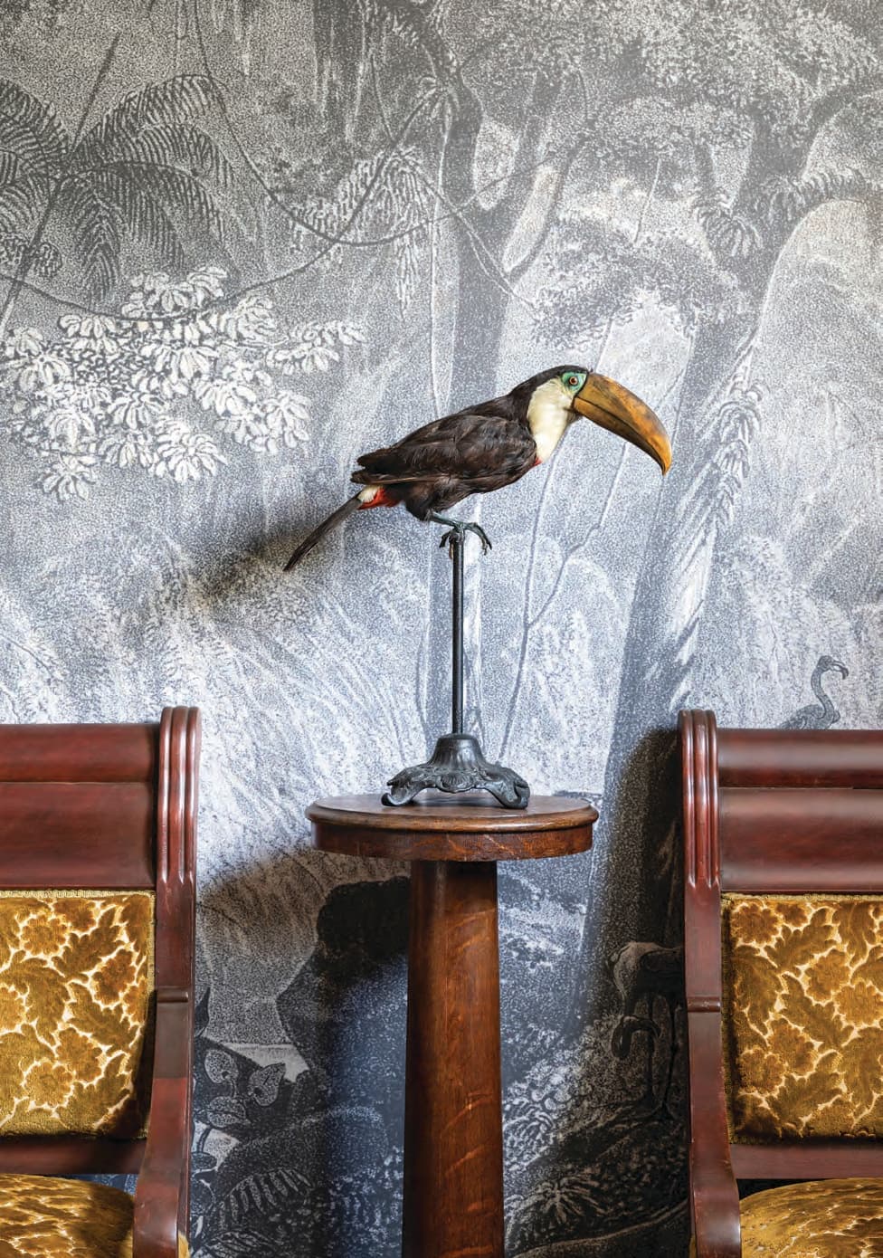 Robin Stubbert