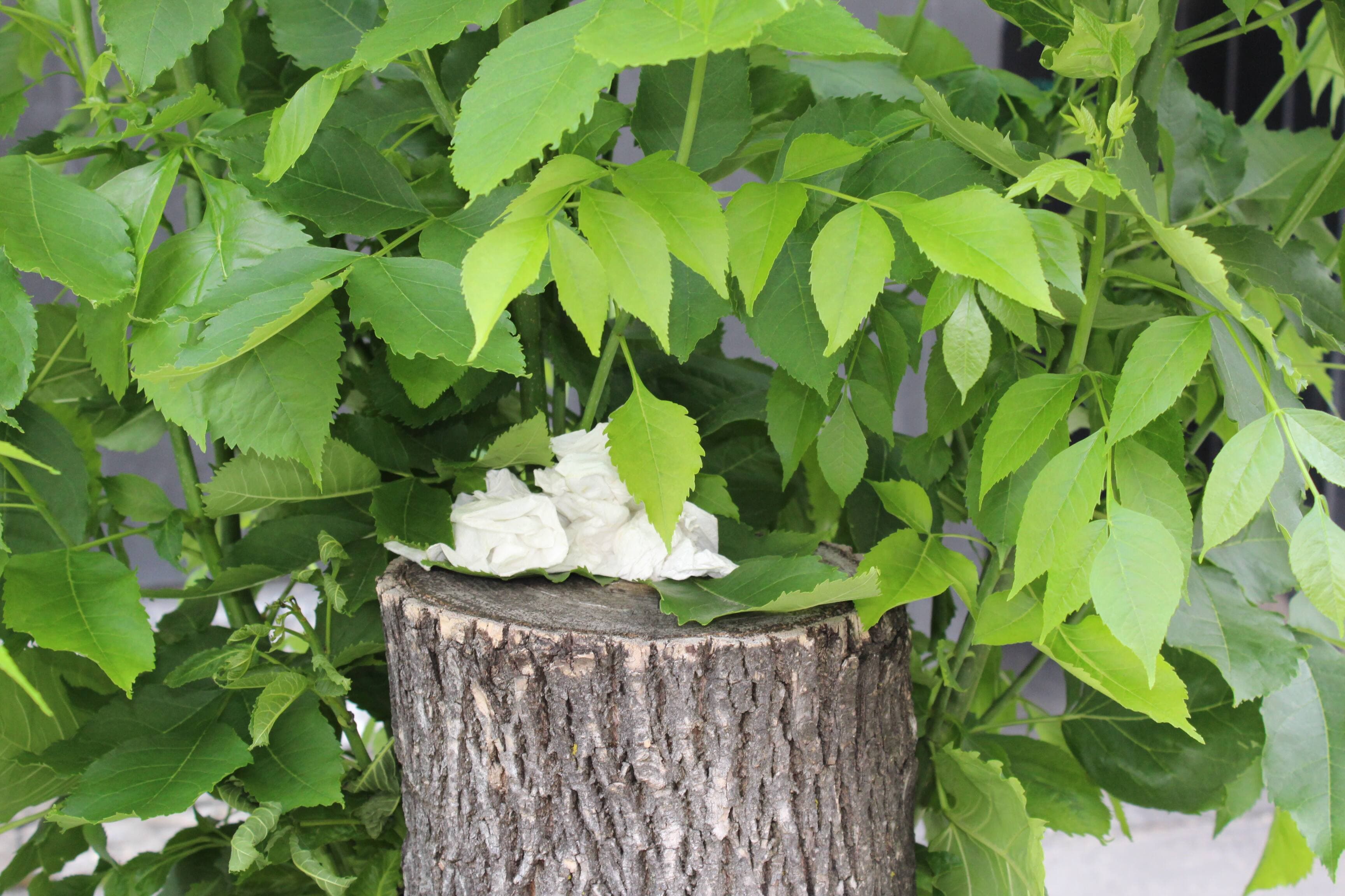 Guillaume Cyr/24 heures