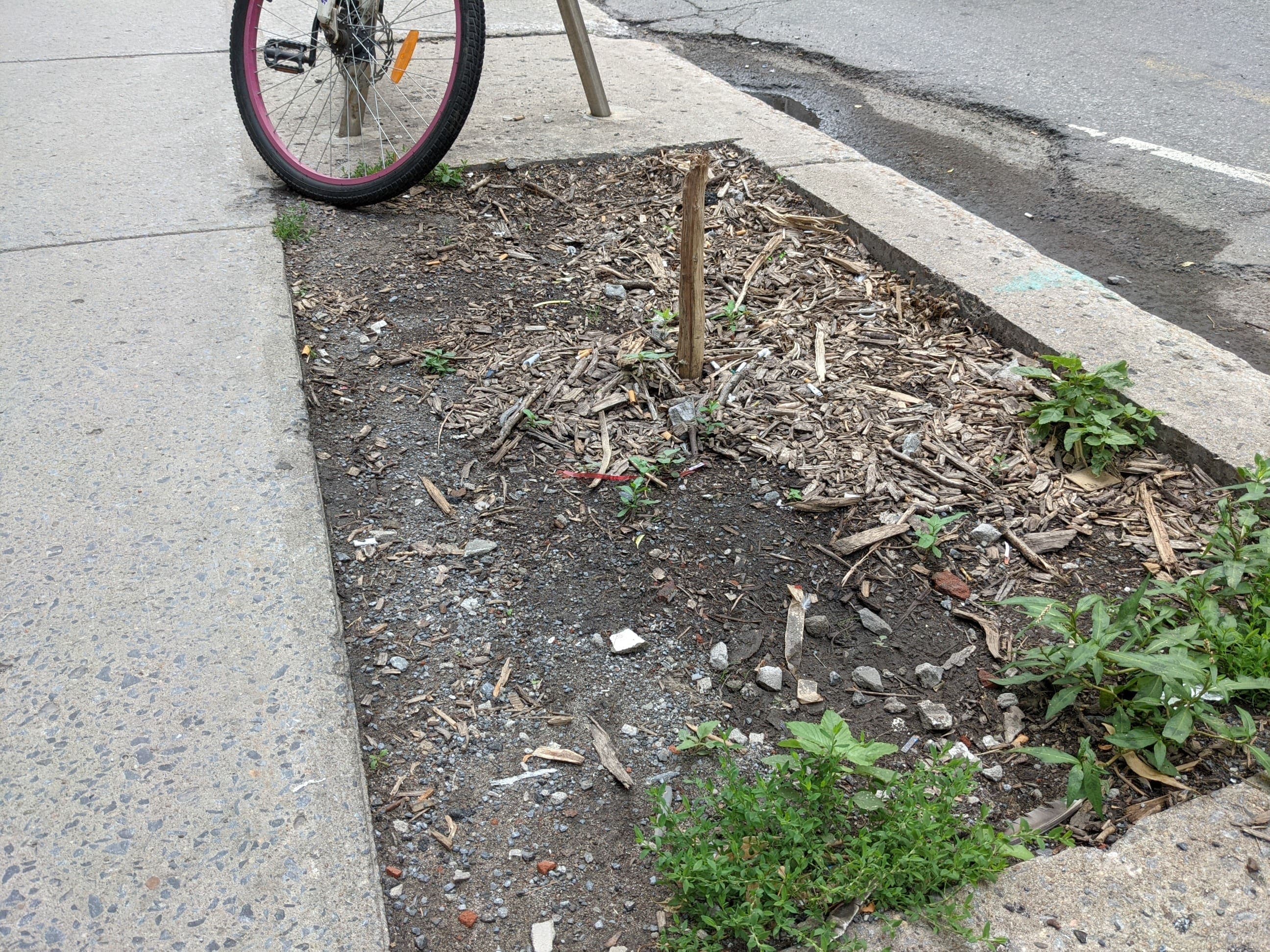 Guillaume Cyr/24 heures