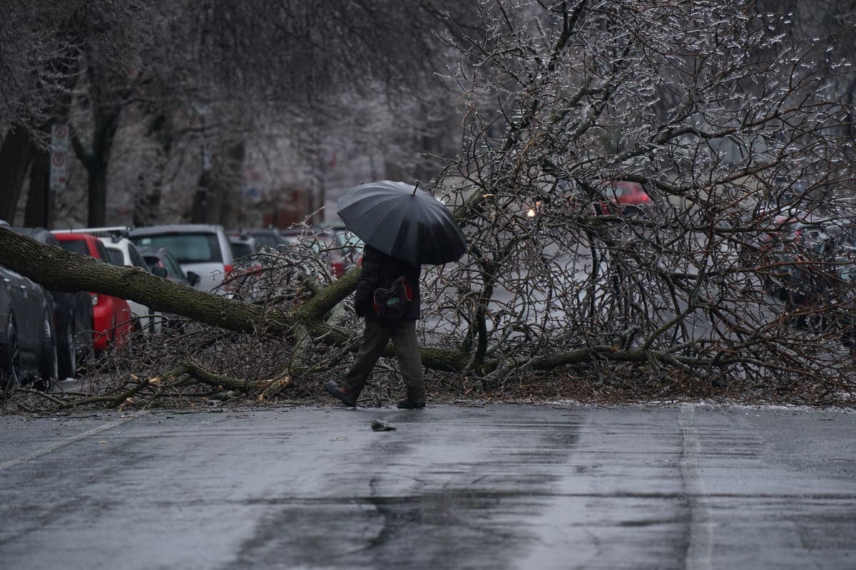 MARIO BEAUREGARD/AGENCE QMI