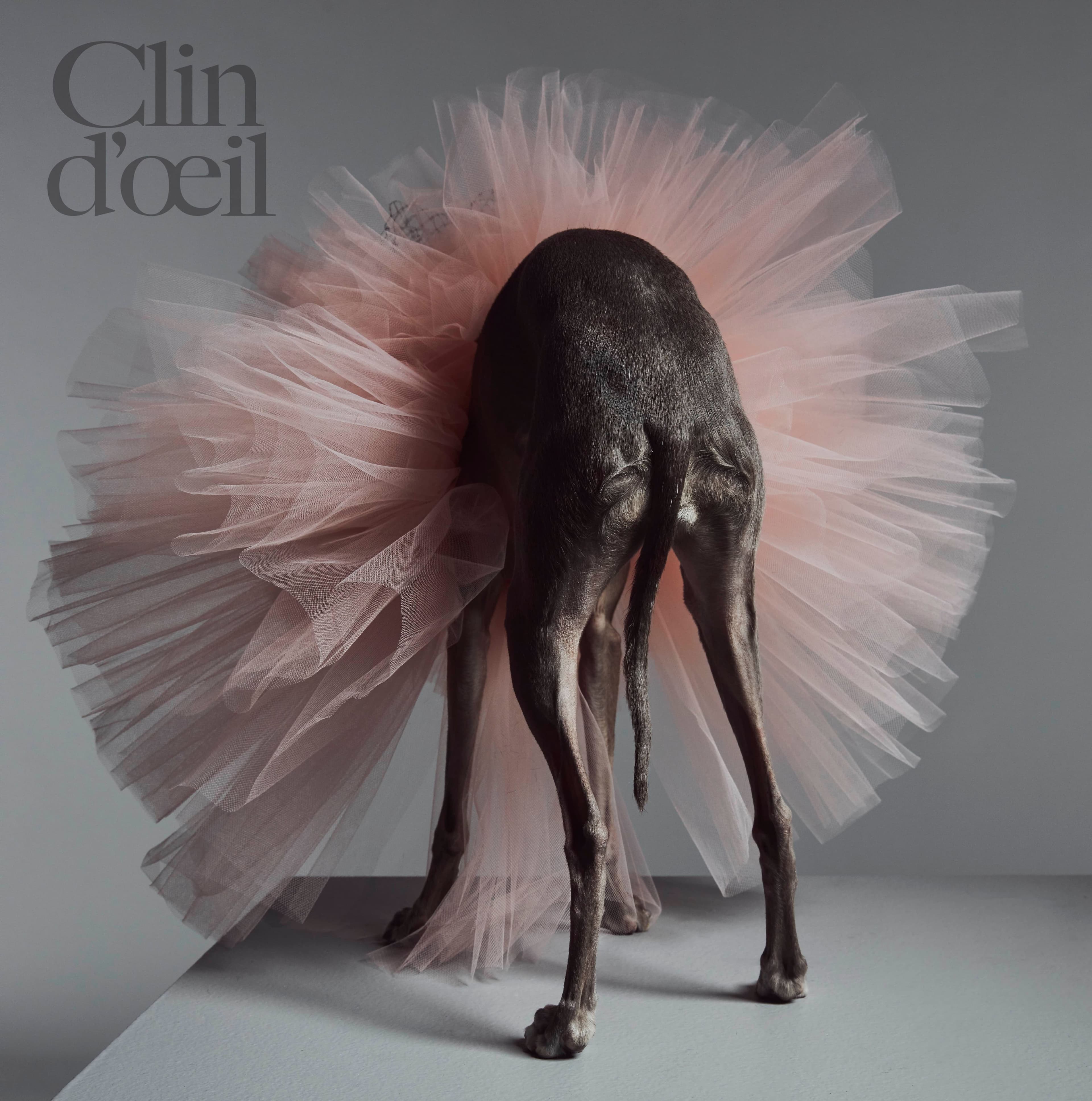 Courtoisie Clin d'oeil