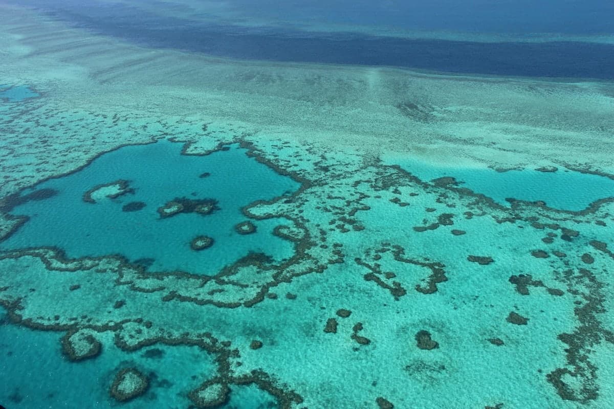 Affectée par le changement climatique, la pollution des eaux et les activités humaines, la Grande Barrière de corail en Australie a été inscrite sur la liste du patrimoine mondial en danger de l'UNESCO.