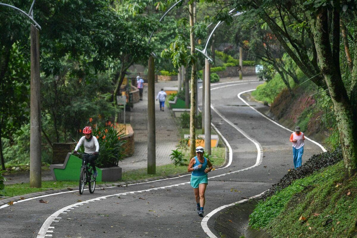 L'un des corridors verts de Medellín, en Colombie