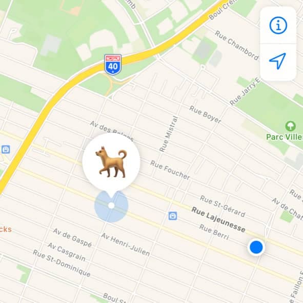 L’AirTag pourrait être populaire chez les propriétaires d’animaux de compagnie.