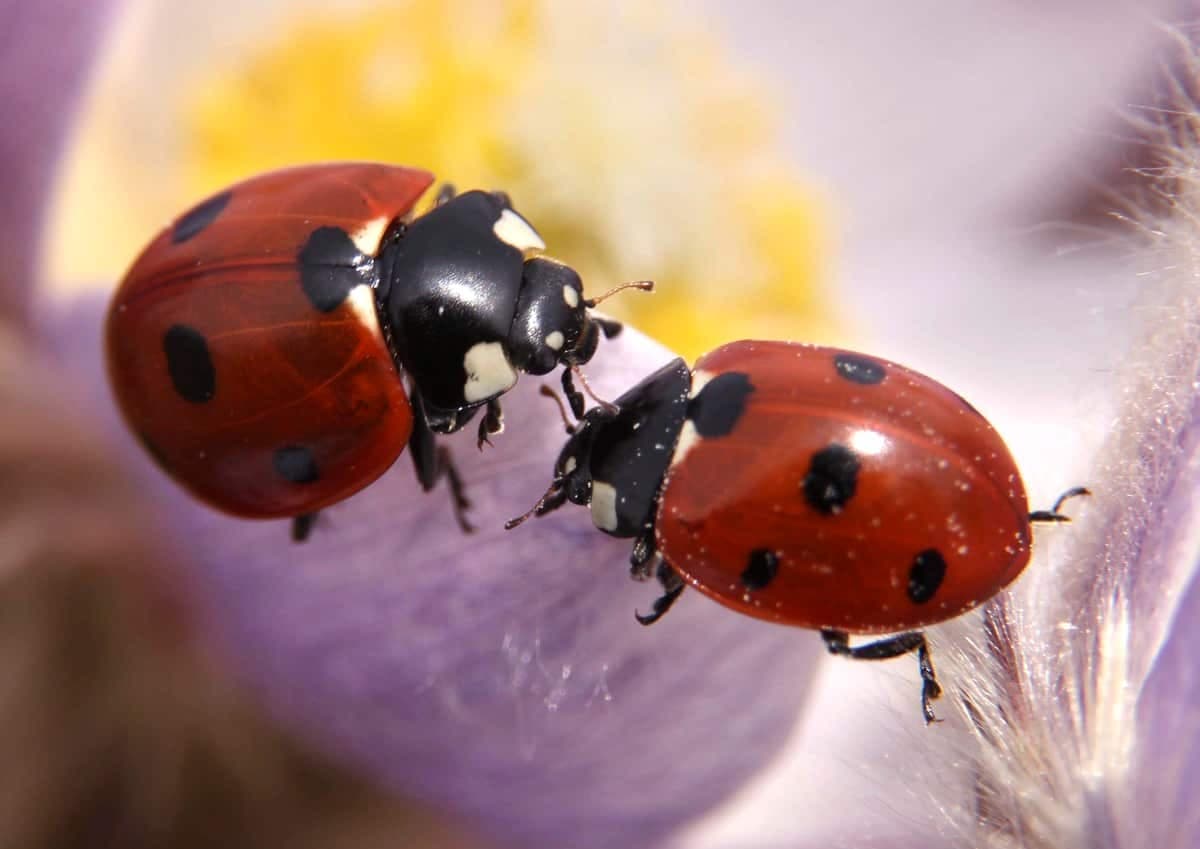 MIKE DREW/CALGARY SUN/QMI Agency