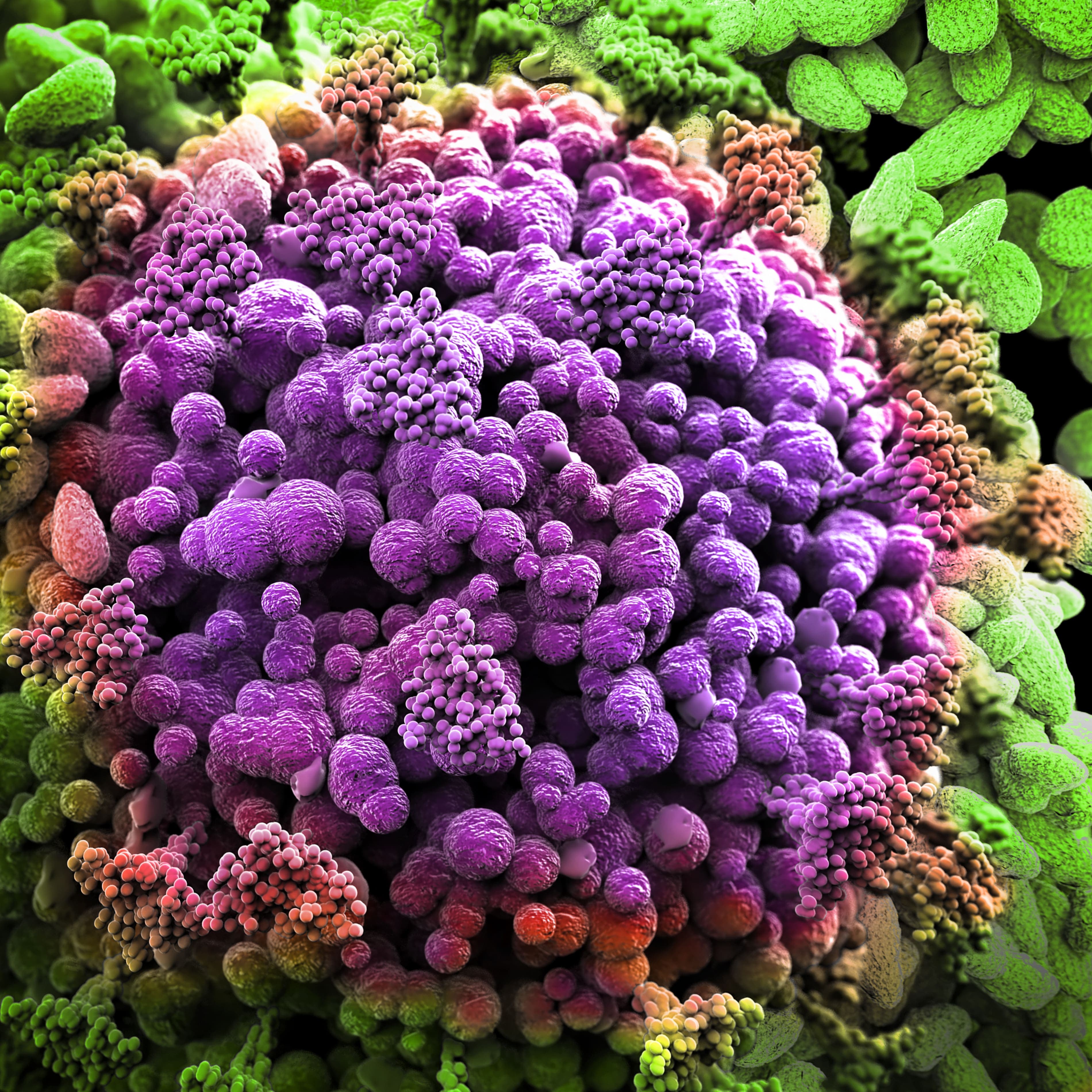 Giovanni Cancemi - stock.adobe.c