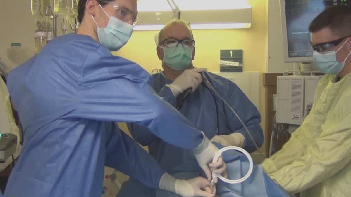 CAPTURE D'ÉCRAN / TVA NOUVELLES / AGENCE QMI