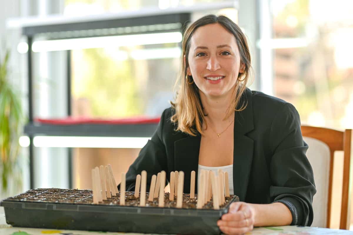 Une étagère avec des semis trône dans la cuisine chez Marie-Pierre Longpré.