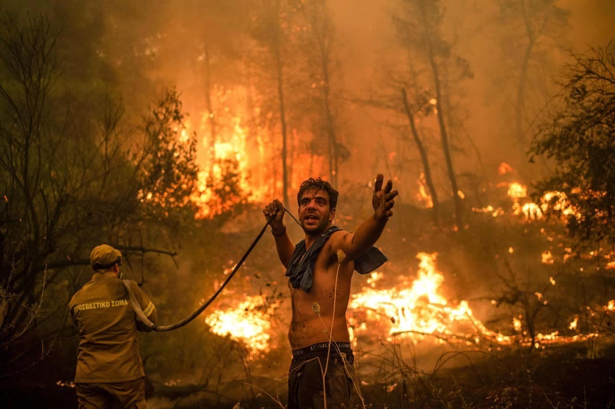 Des feux de forêt ravagent la Grèce ou la Turquie.
