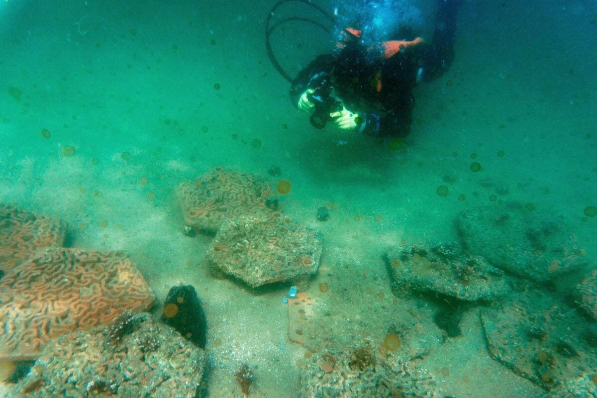 Des dalles de terre cuite sont posées au fond de l'eau pour aider un récif de corail à se régénérer.