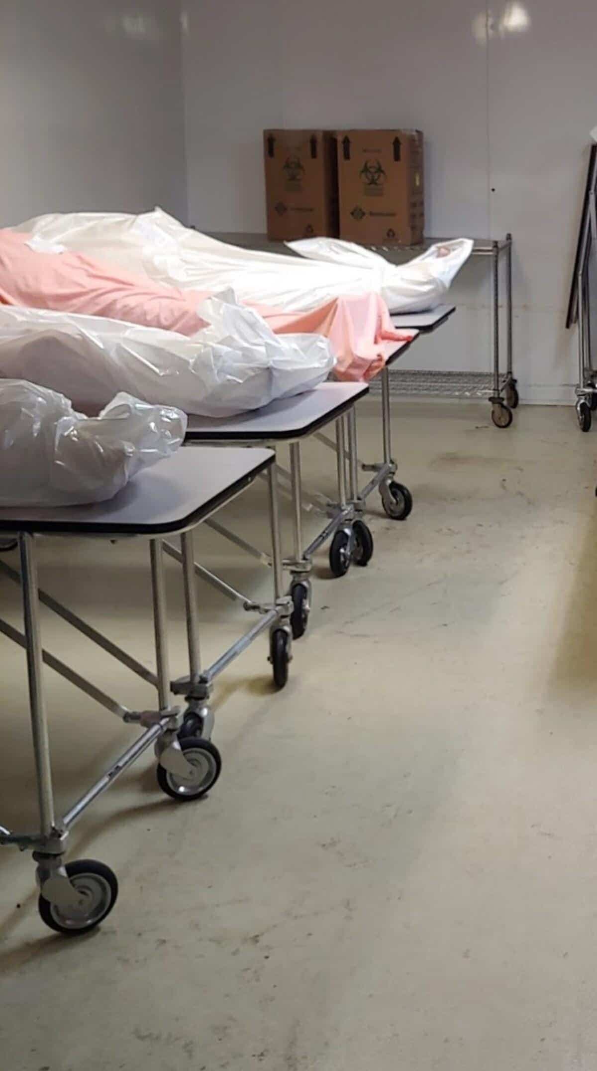 CAPTURE D'ÉCRAN / TVA NOUVELLES / AGENCE QMI