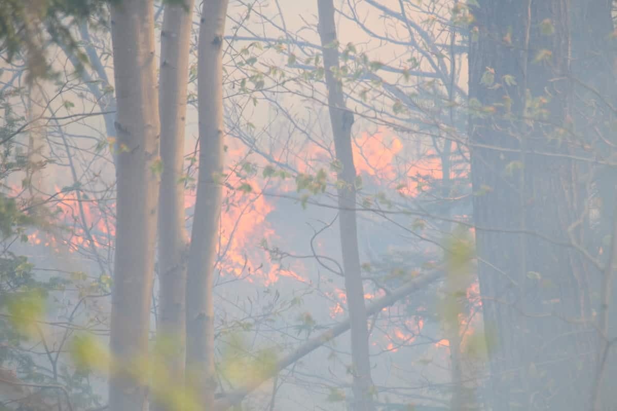 Un feu de forêt brûlait à Val-Bélair, un quartier de Québec, le 21 mai 2020.