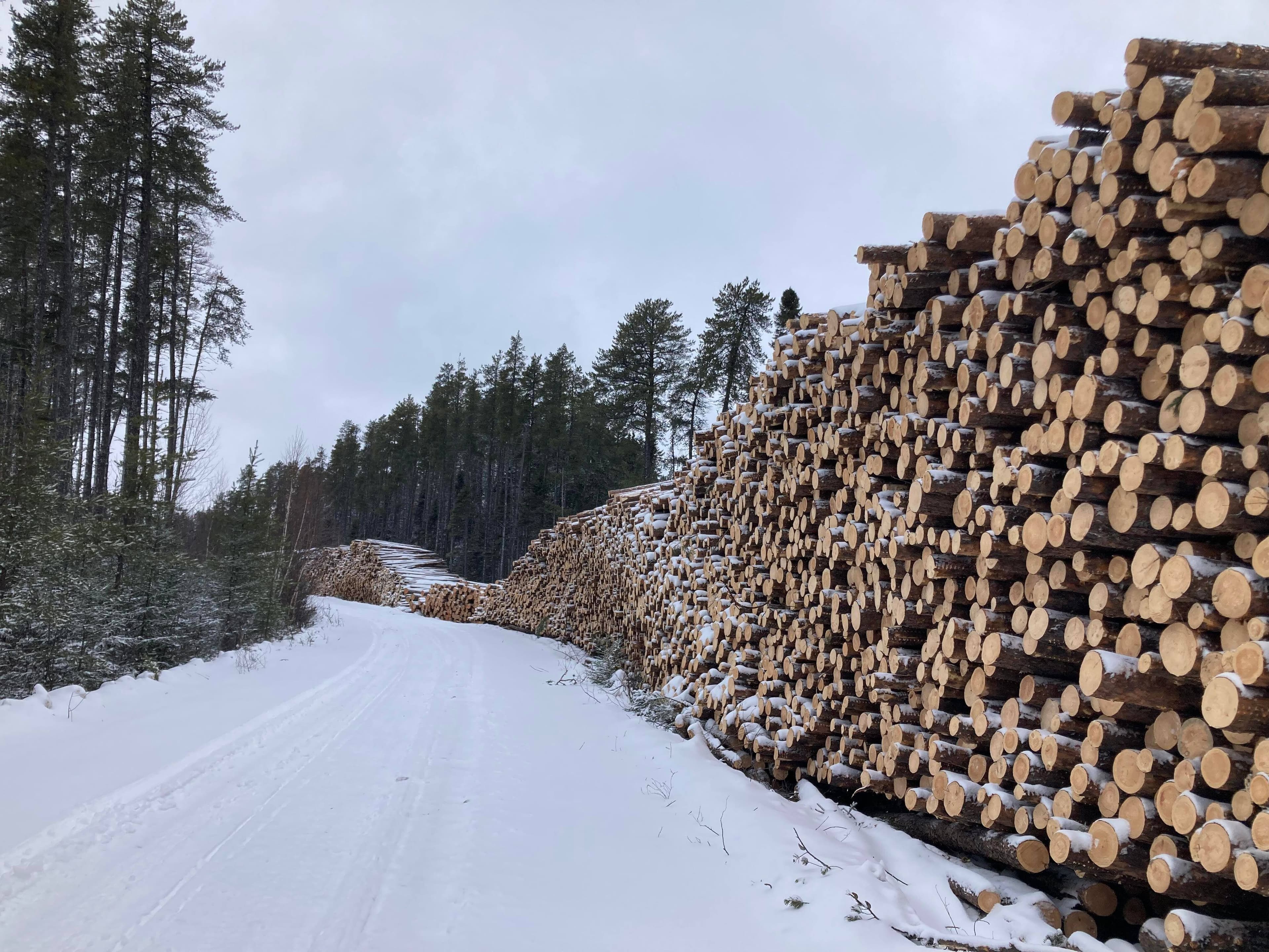 Les citoyens demandent 5 kilomètres carrés de protection.