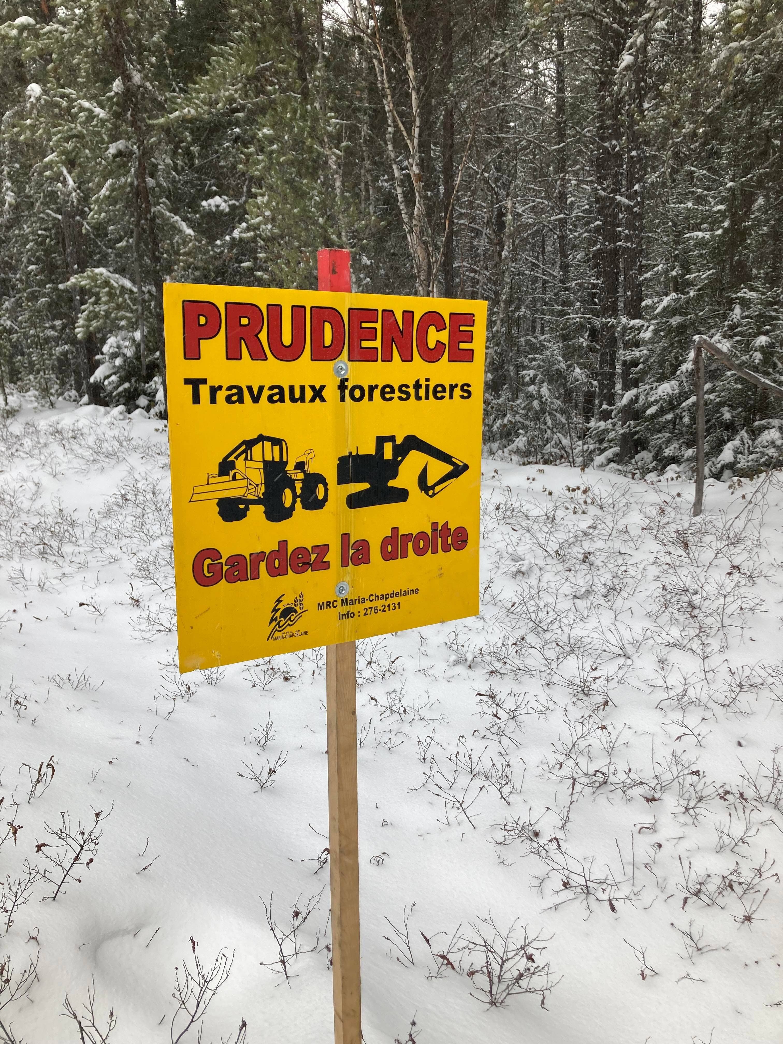 Les coupes forestières dans le secteur Racine-Vauvert rapporteraient environ 350 000 $ par année, selon le préfet de la MRC.