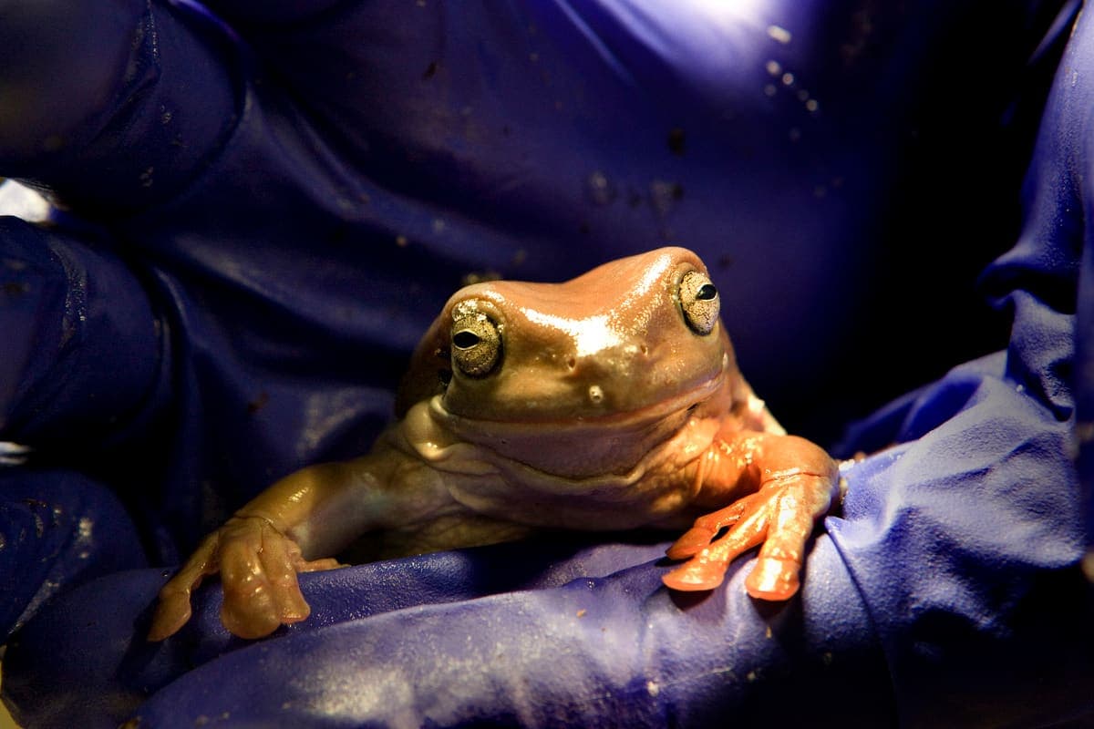 Stan Behal/Toronto Sun/QMI Agency