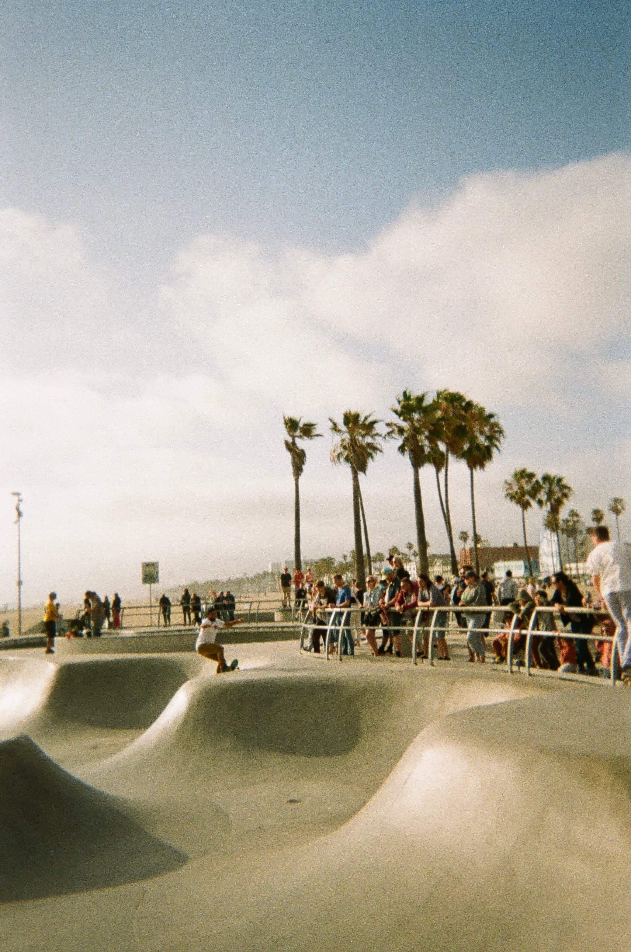 Venice Skatepark