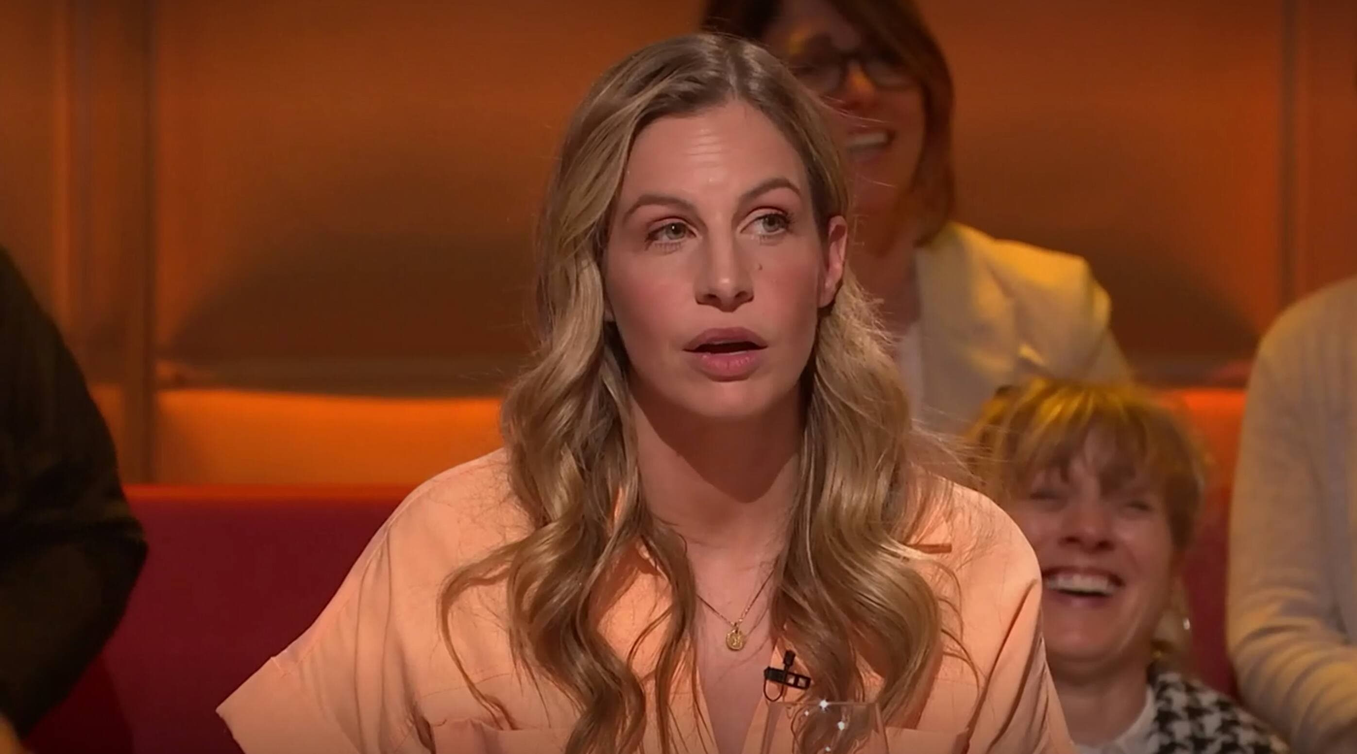 Capture d'écran TLMEP