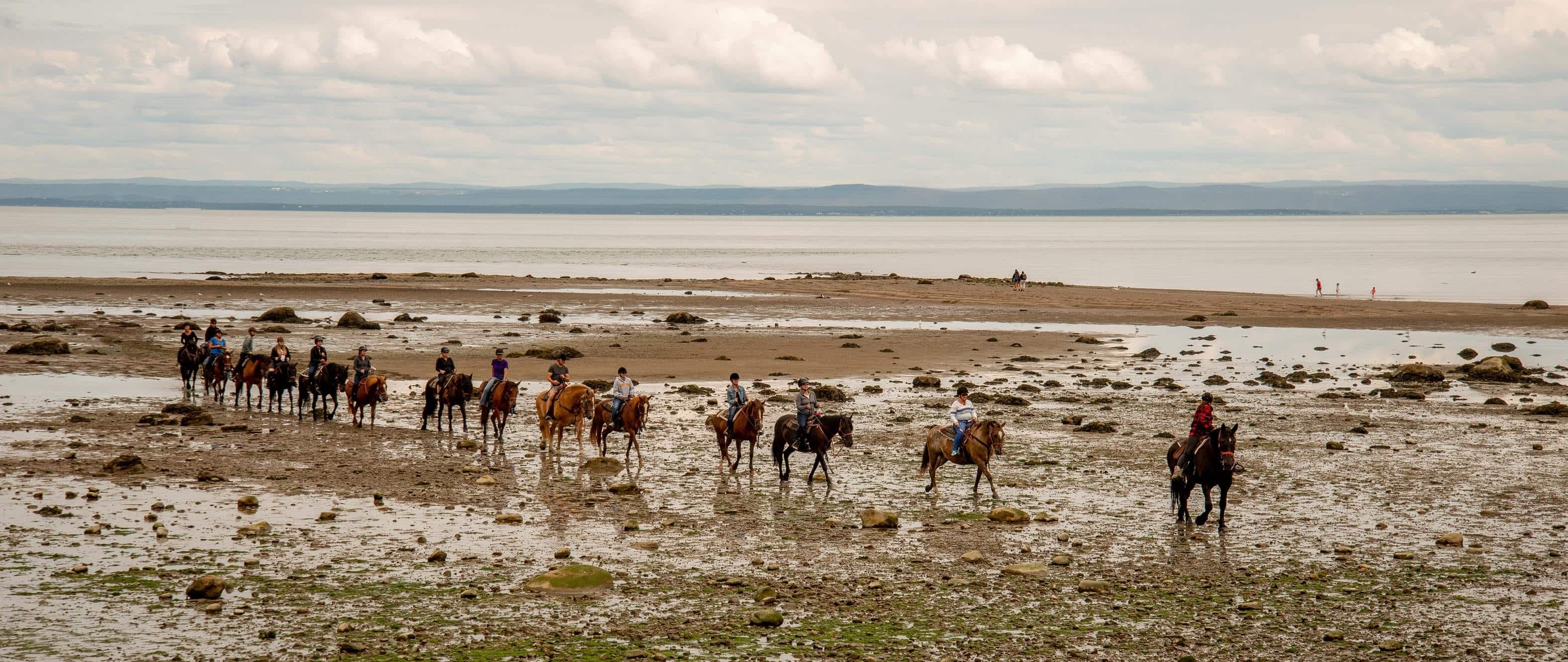 Photo: Facebook / Les Écuries entre Monts et Marées / Alain Caron