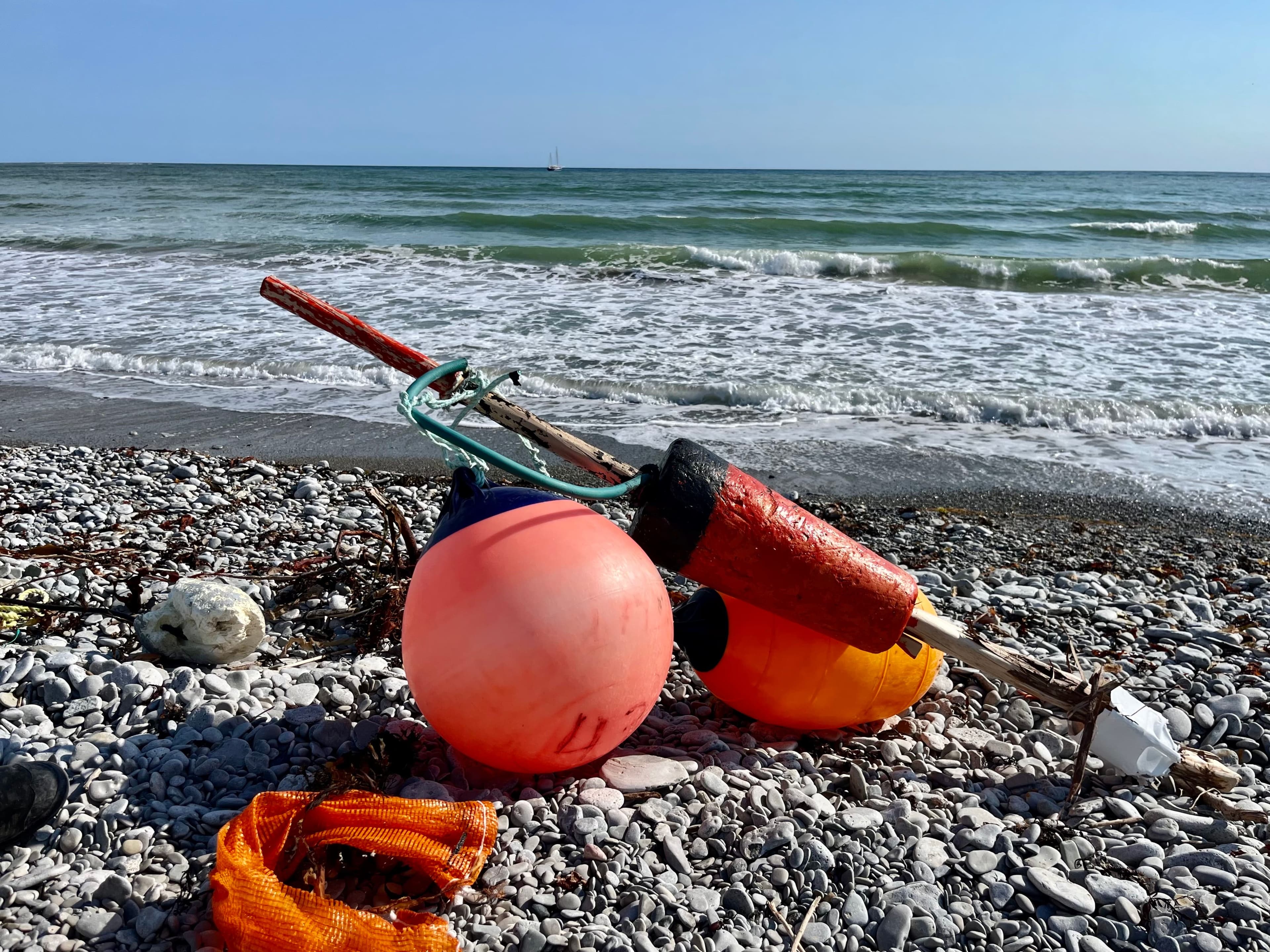 Photo courtoisie Organisation Bleue