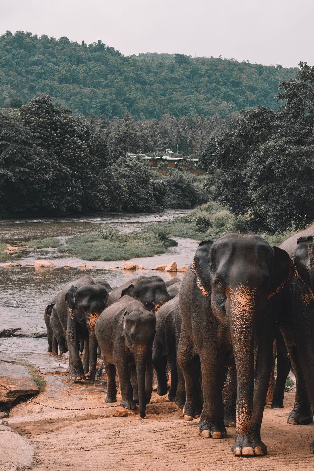 Unsplash