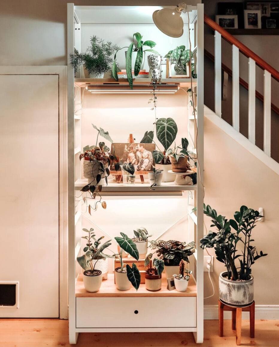 Instagram: @wildwoodlove