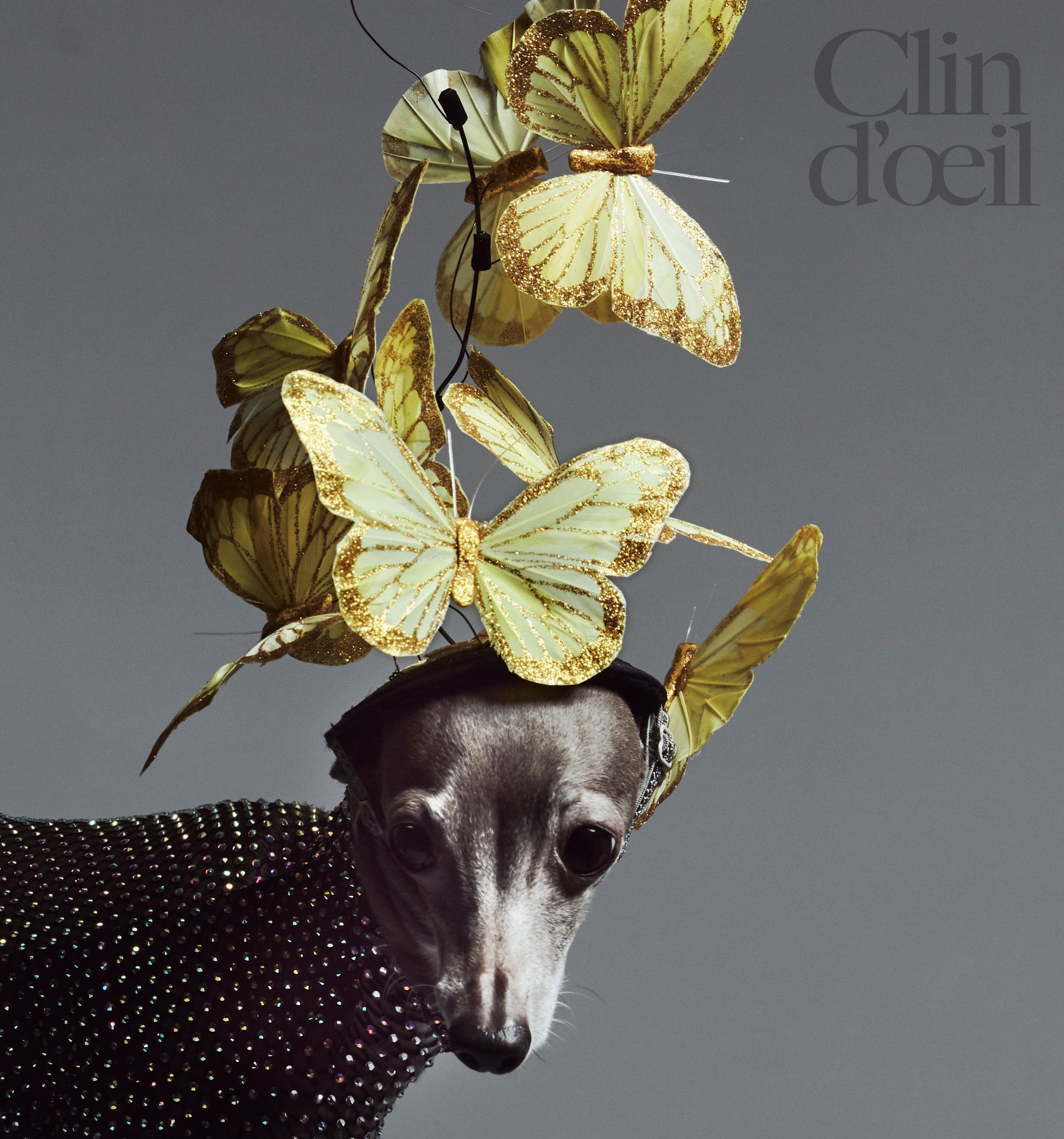 Courtoisie Clin d'oeil