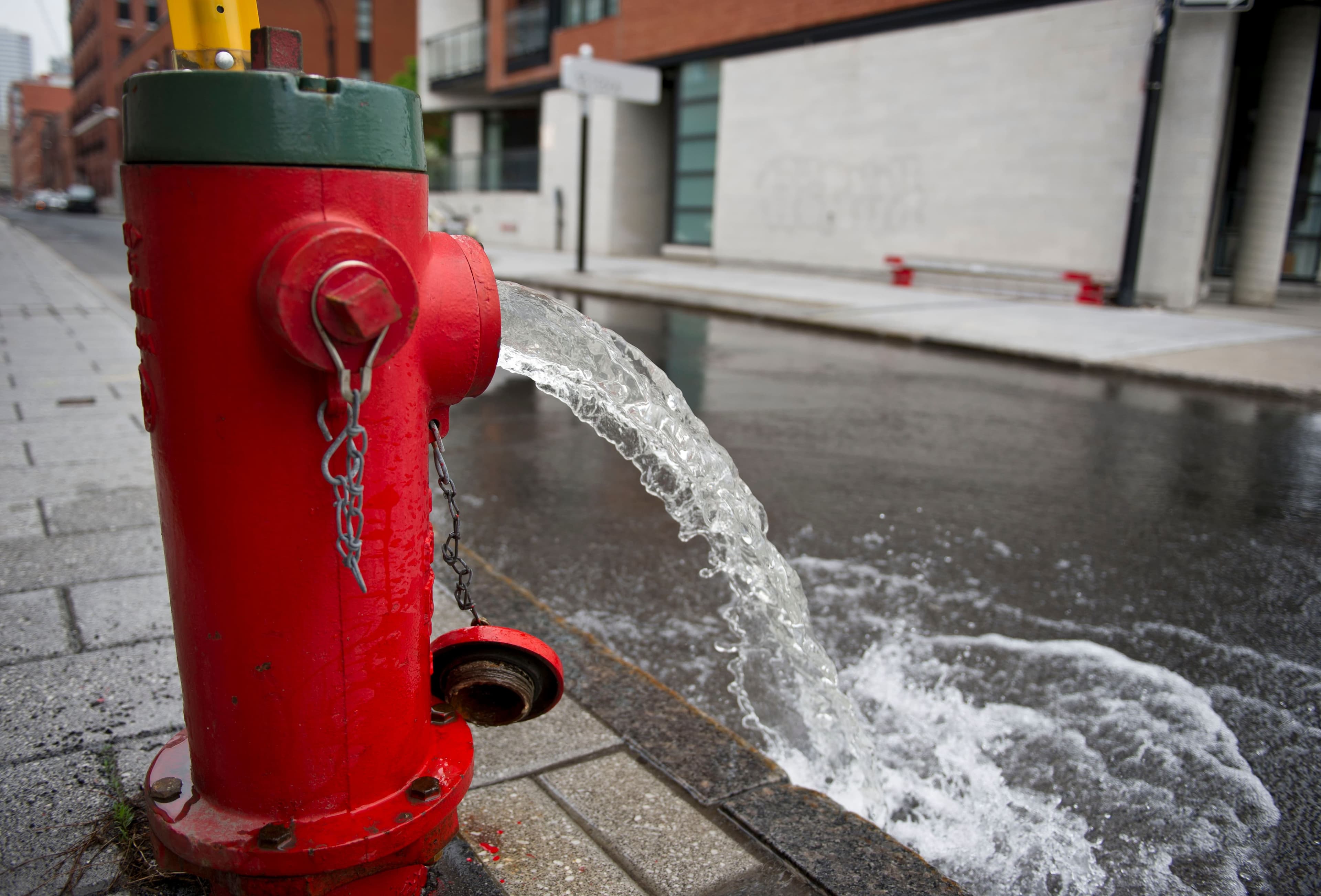 Photo d'archives Martin Chevalier