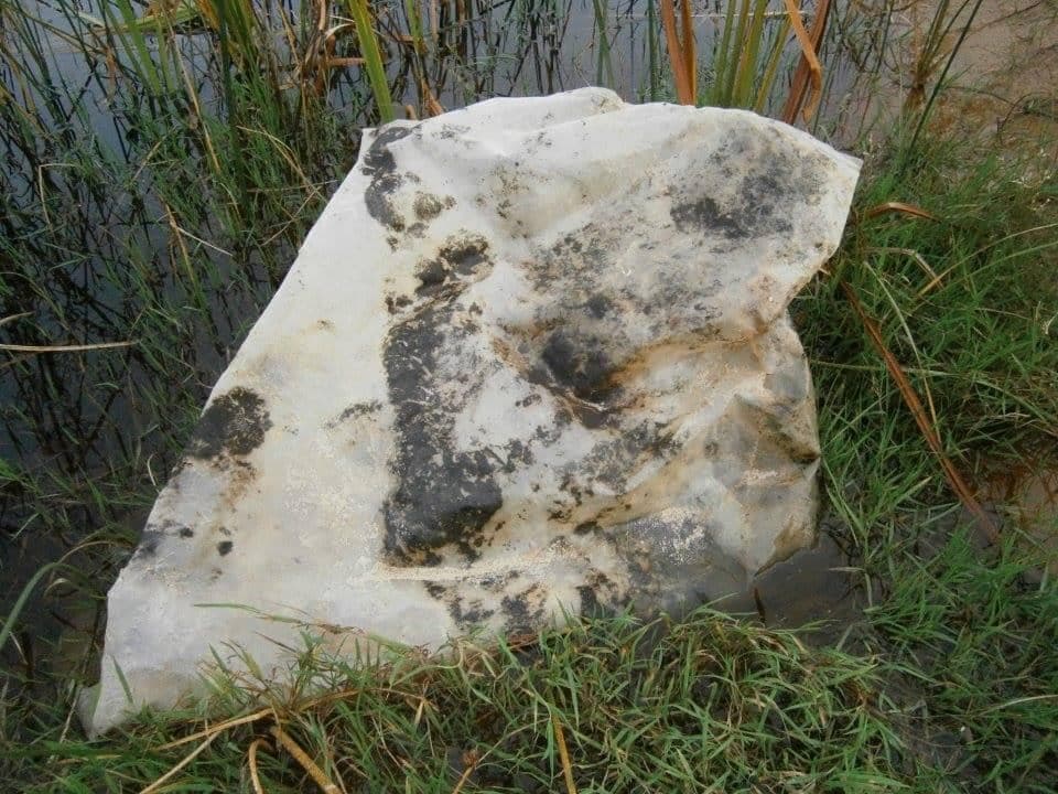 Un sac plastique retrouvé par Léonard Chevrier près du littoral.