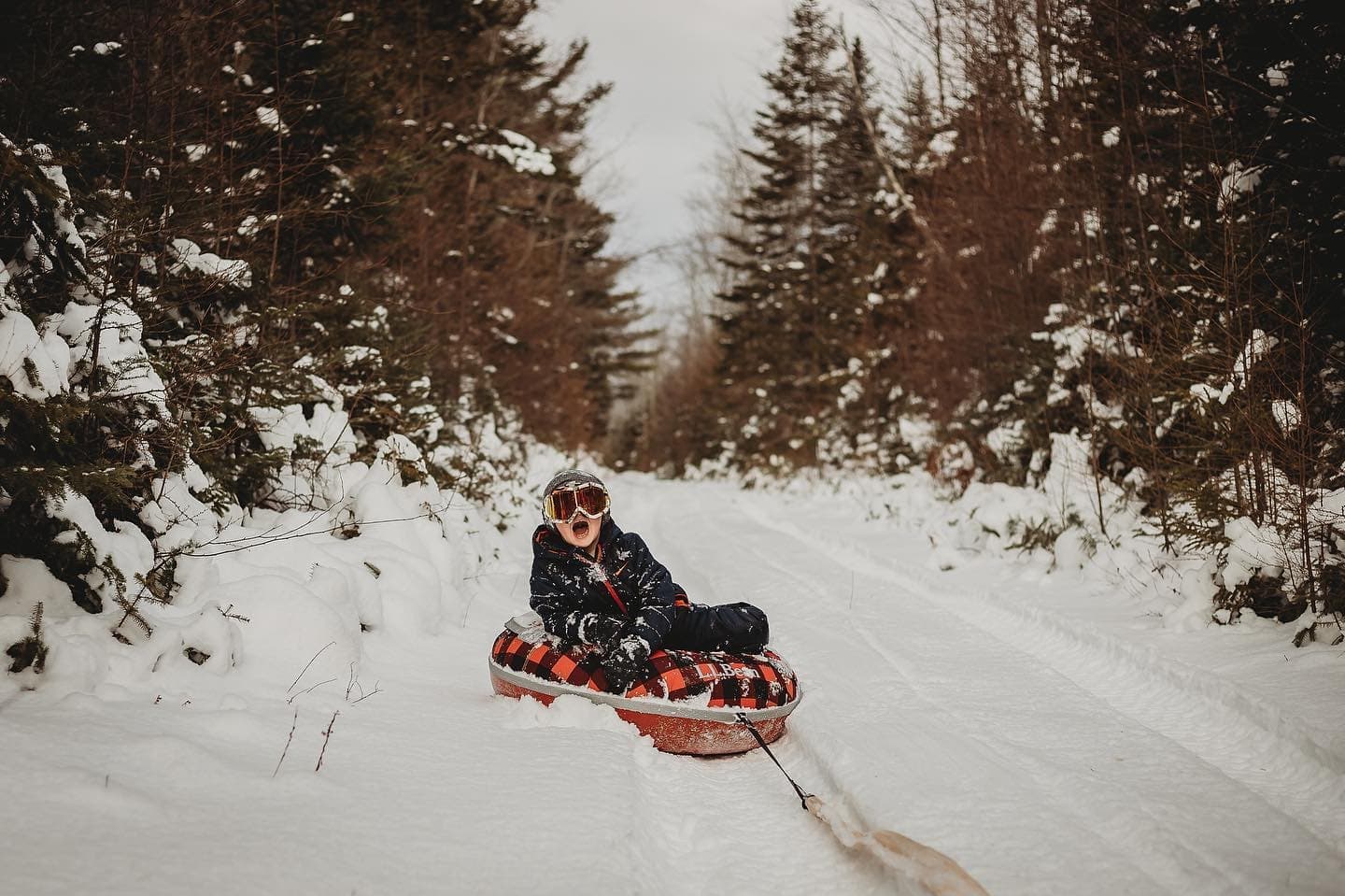 Instagram: @nicolereidphotography