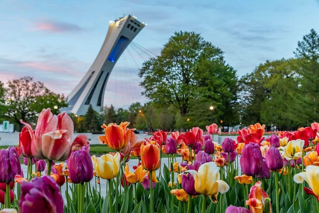 Facebook : Visitez Montréal / Visit Montréal